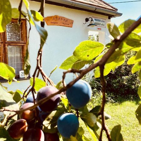 Ubytovanie U Aranky Cierna nad Tisou Ngoại thất bức ảnh